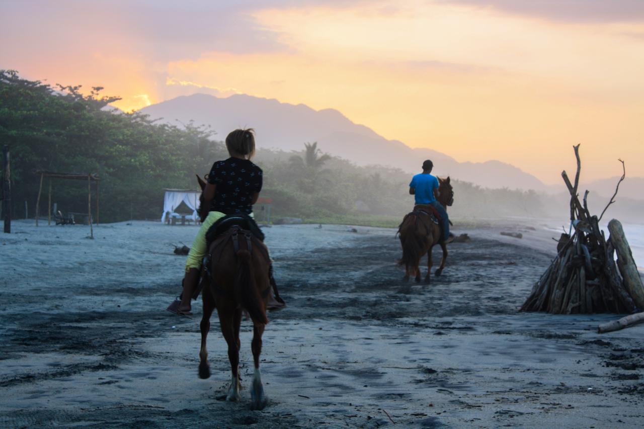 Tay Beach Hotel Tayrona Buritaca Ngoại thất bức ảnh